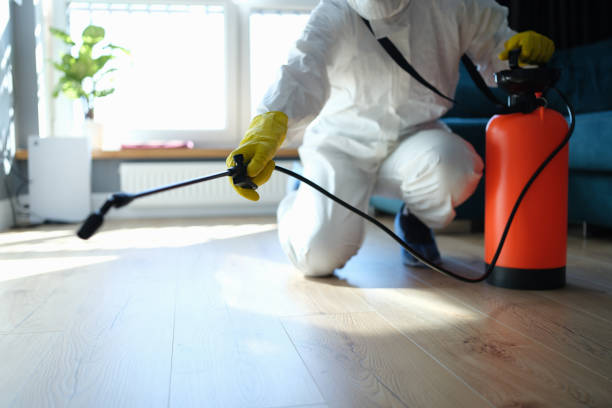 Reliable Odor Removal contractor in Brownsville, OR by Crime Scene Cleaner Online